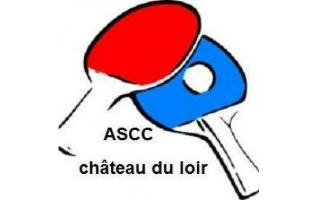 CHATEAU DU LOIR