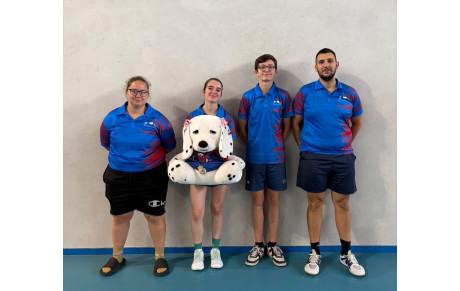 Championnat par Equipes Seniors - D4 Gr 7